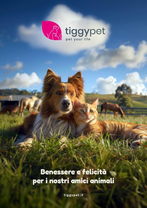 Catalogo_A4_TiggyPet